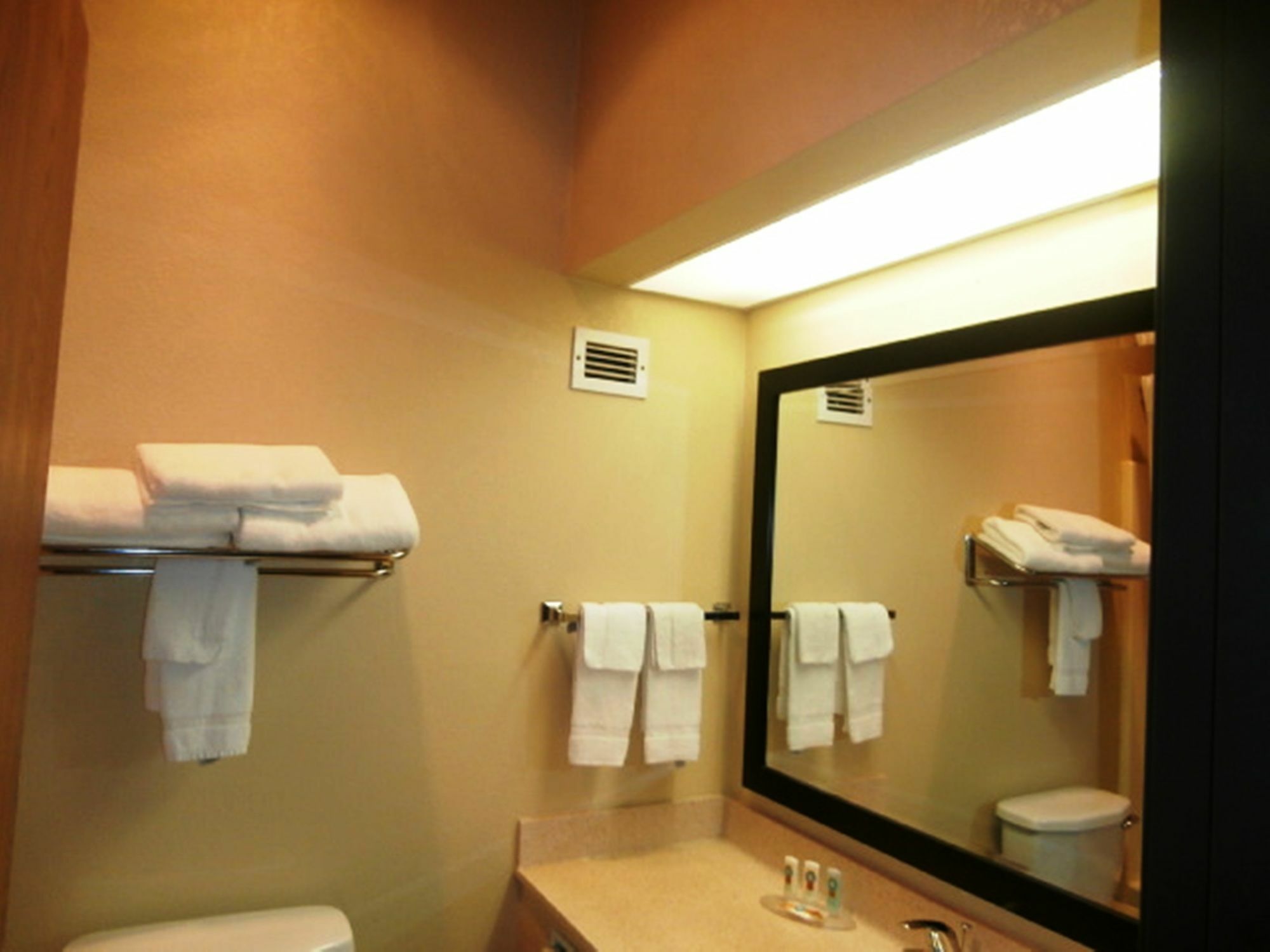 Surestay Plus Hotel By Best Western Блу Спрингс Екстериор снимка